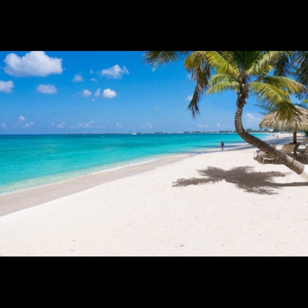 Meet your Posher, Elle